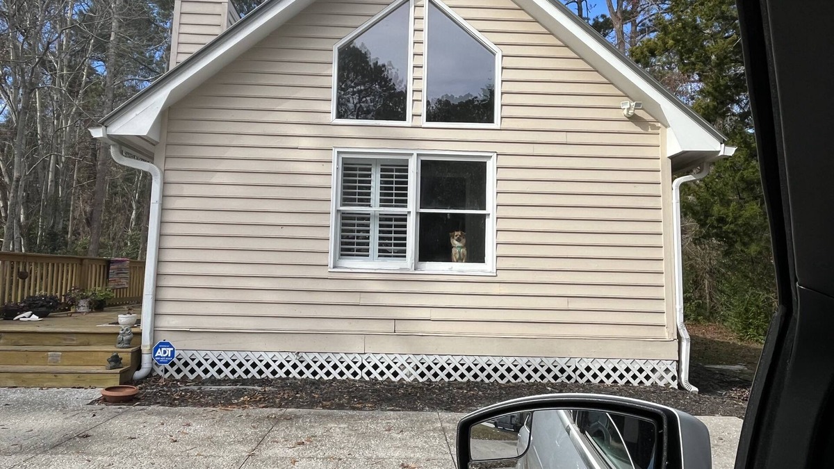 Pawleys Island Cottage | Ocean View, adorable, updated 3bdrm 2bth cottage 4 miles from beaches in Pawleys