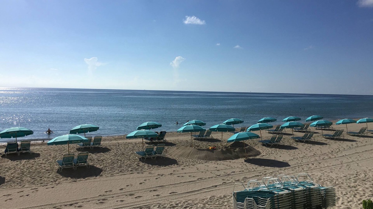 Hollywood South Central Beach Condo | Ocean View - Amazing Newly renovated Apartment Right On The Beach. 1BR, 1 1/2 B