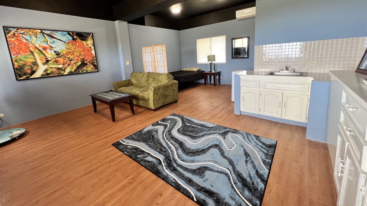 Capital Hill Apartment | Ocean View Capitol Hill Studio with Sunset Deck