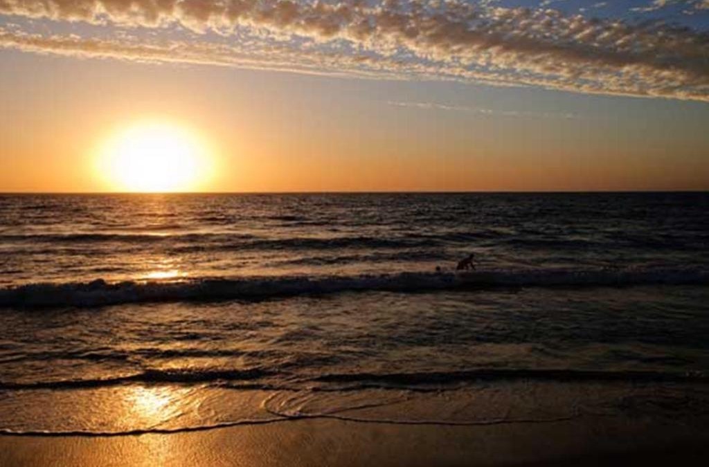 North Beach Hotel | Ocean View Motel