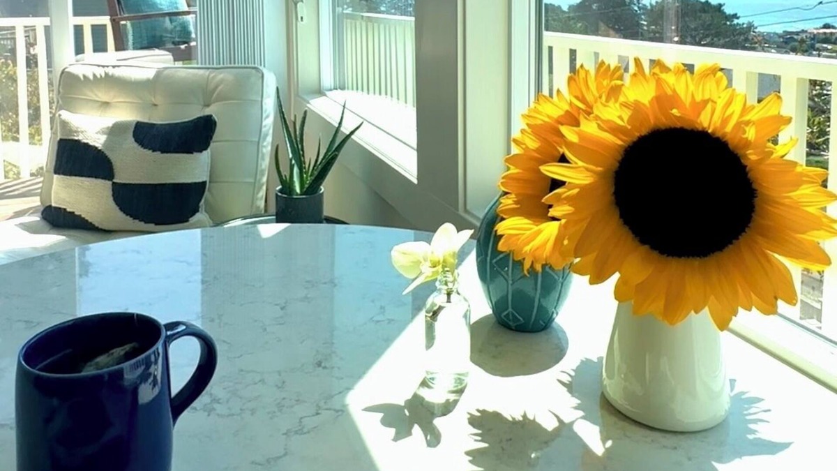 Marine Terrace Cottage | Ocean View Retreat with King sized bed and 5 min walk to sea + Fiscalini trails.