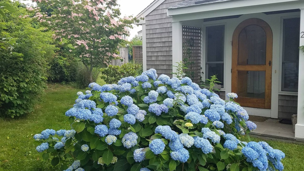 Little Compton House | Ocean views everywhere, walk to beach, bike to town
