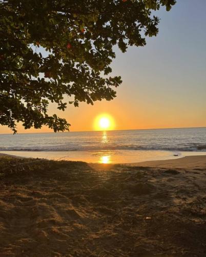 Algarrobos House | Oceanfront 5BR Oasis w Decks & Direct Beach Access