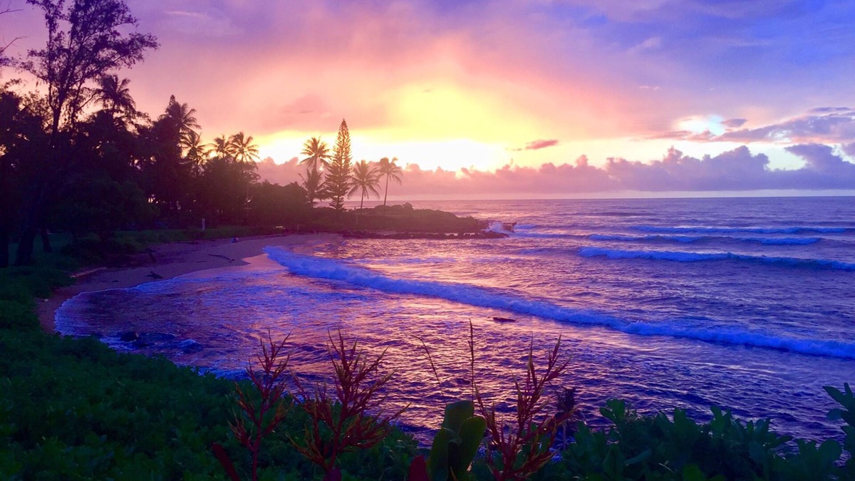 Wailua Condo | Oceanfront condo w/private lanai, amazing views & pool access - steps to beach