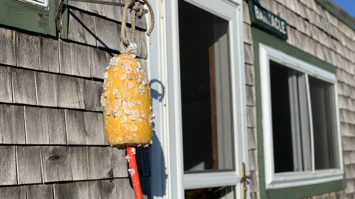 Friendship House | Oceanfront Cottage directly on the beach
