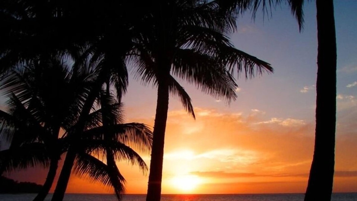 Waialua Cottage | Oceanfront Cottage! On SPECIAL May 31- June 2! Permit # 90/tvu-0631