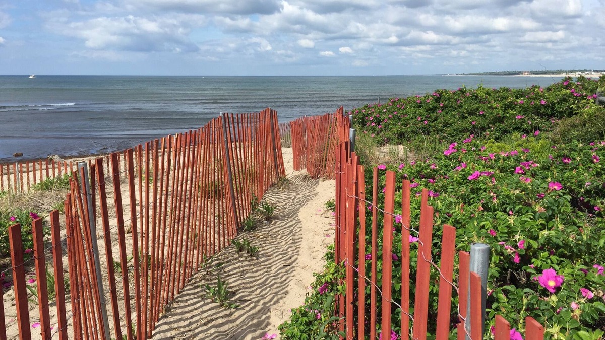 Matunuck Cottage | OCEANFRONT! Private beach, VIEWS, A/C, WIFI, Streaming TV, Walkable, Memories!