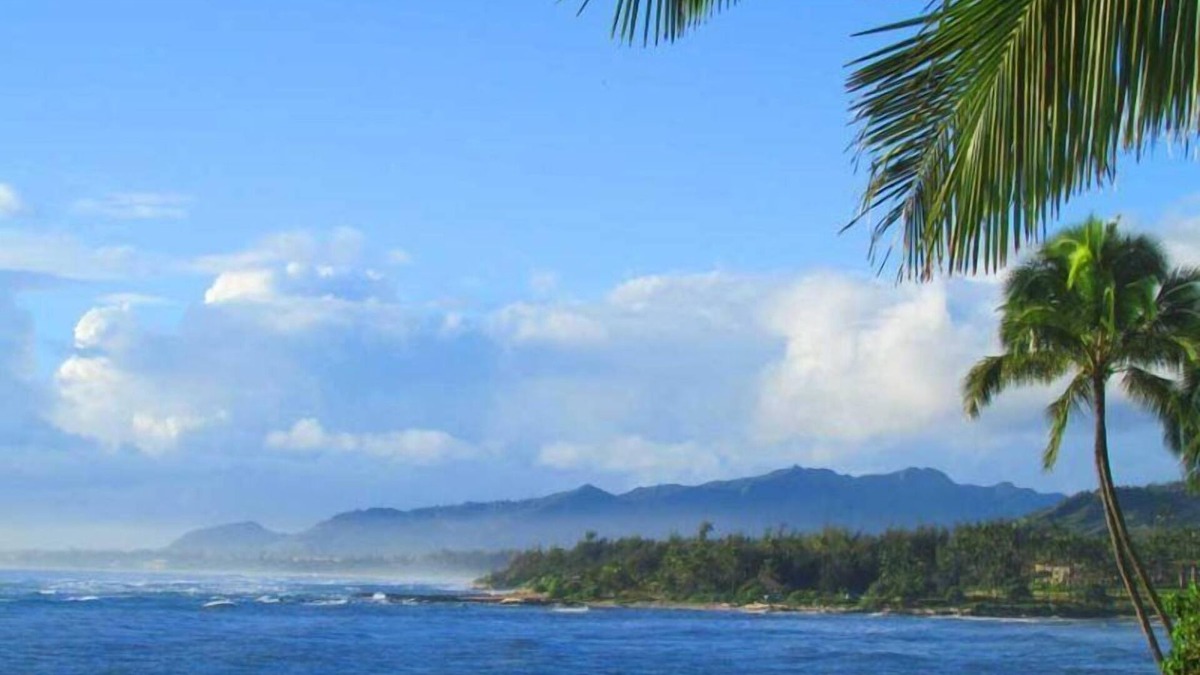 Wailua Condo | Oceanfront Studio with Panoramic Views - Kapa'a Sands 09