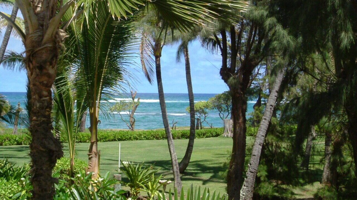Kapaa House | OCEANFRONT to Walking Path & Beach TVNC #1287