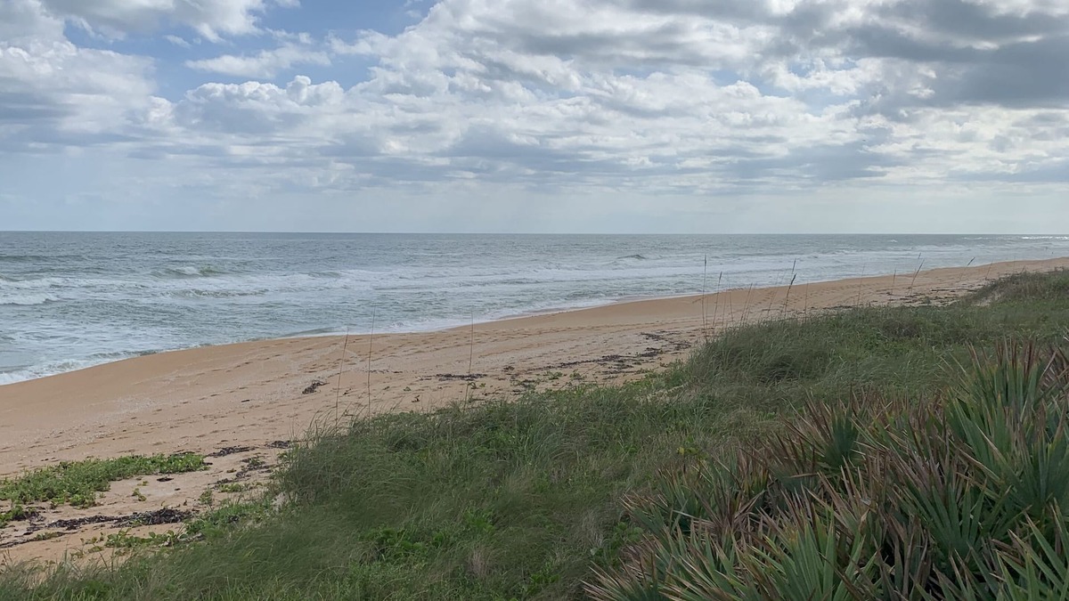 Volusia County House | Oceanfront Vacation house in Ormond Beach