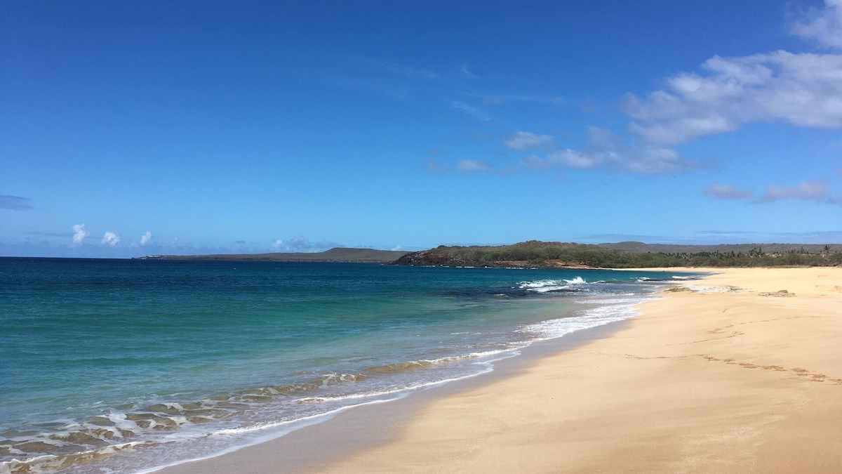 Ualapue Condo | Oceanfront! Wavecrest Building "A" on the Island of Moloka'i.