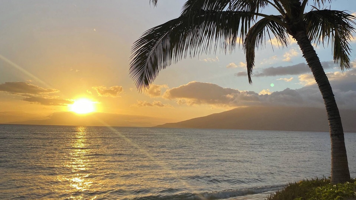 Kihei Apartment | OCT-Nov 2025 SPEC! 2BR/1BA BEACHFRONT - GREAT LOCATION- EXCEPTIONAL REVIEWS