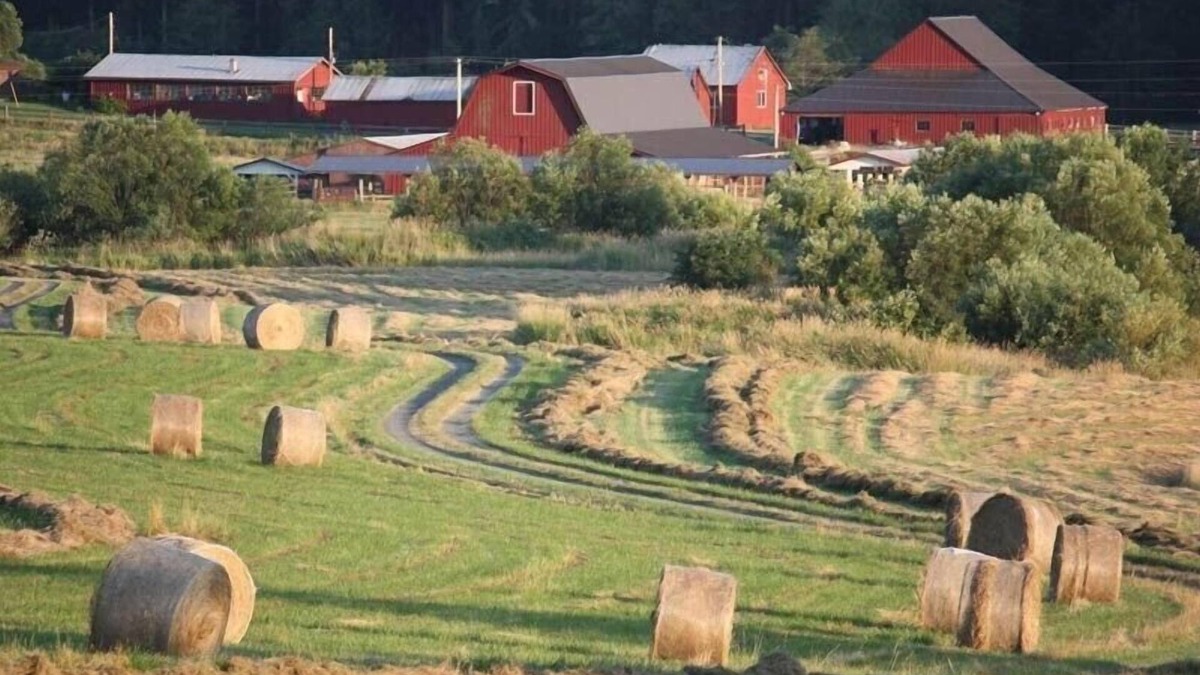 Friday Harbor House | October Farm Family Farm Stay