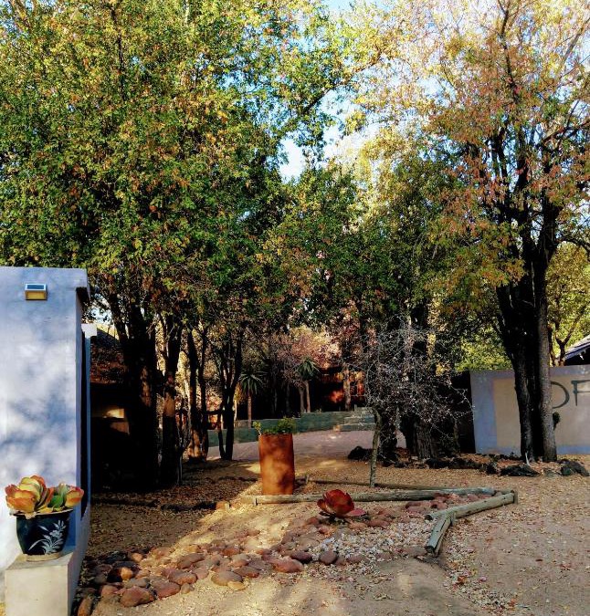 Hoedspruit Cabin | Off Beat Safaris Bush Lodge