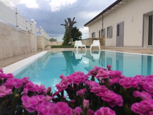 Matera House | Ofra Matera