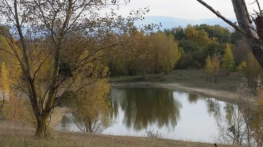 Saint-Papoul Other | Oh! Campings - Aux 4 vues