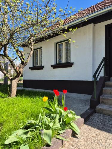Donja Stubica House | Old house by the stream
