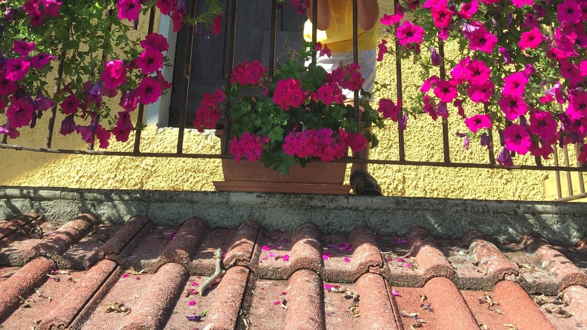 Palagano House | Old Mountain House