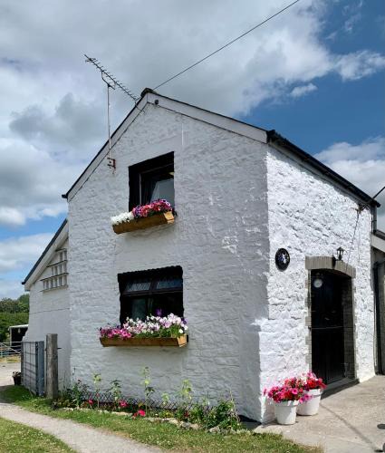 Bridgend House | Old Nursery