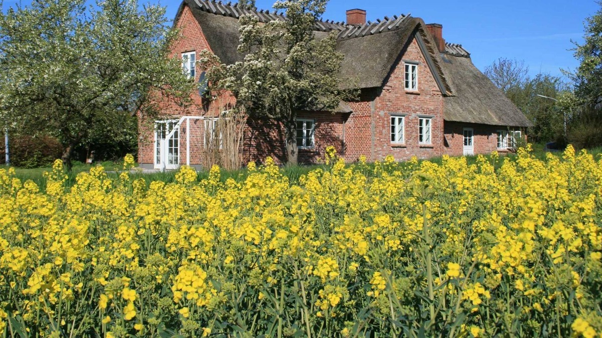 Stenderup House | Old Shoemaker's House - Holiday House Old Shoemaker's House