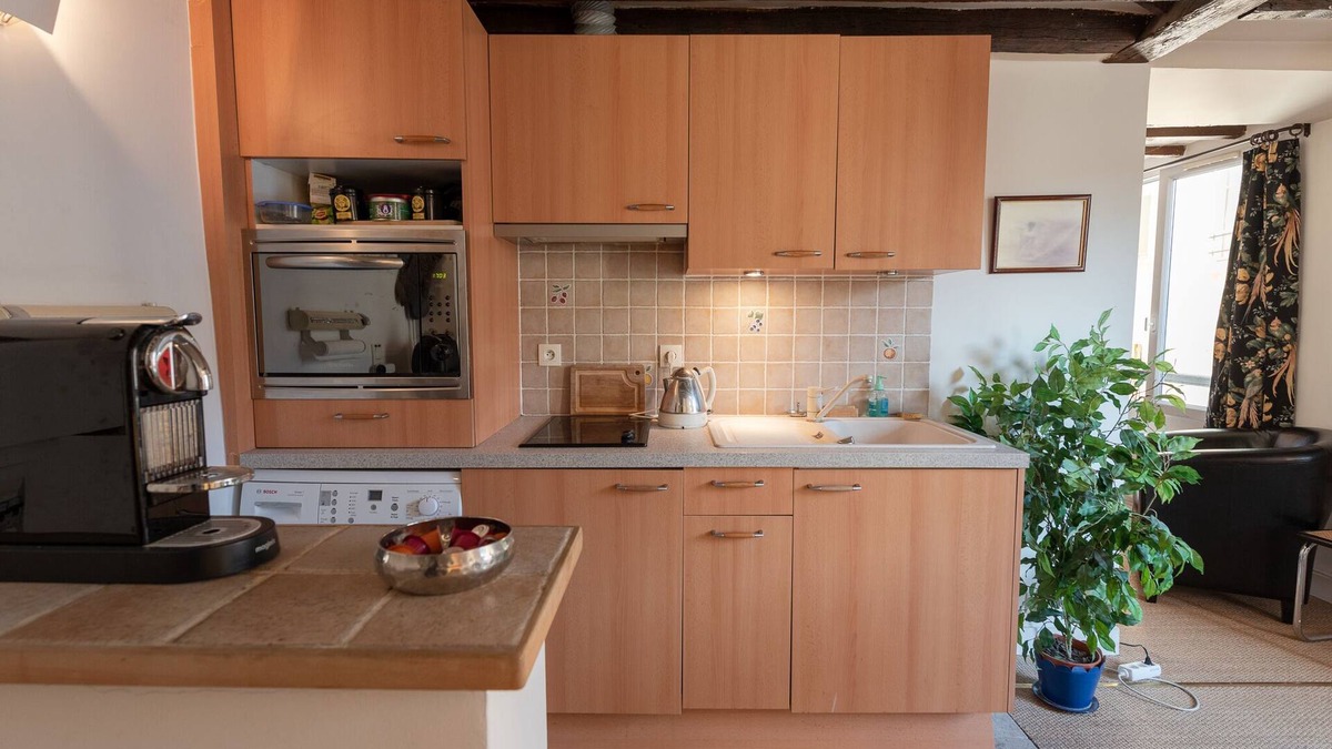 Jardin des plantes Apartment | Old Stones, Wooden Beams, View on Ancient Paris Lutecia, Latin Quarter