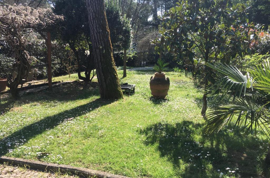 Oltrarno Apartment | Old Town in the green: Federico's apartment.