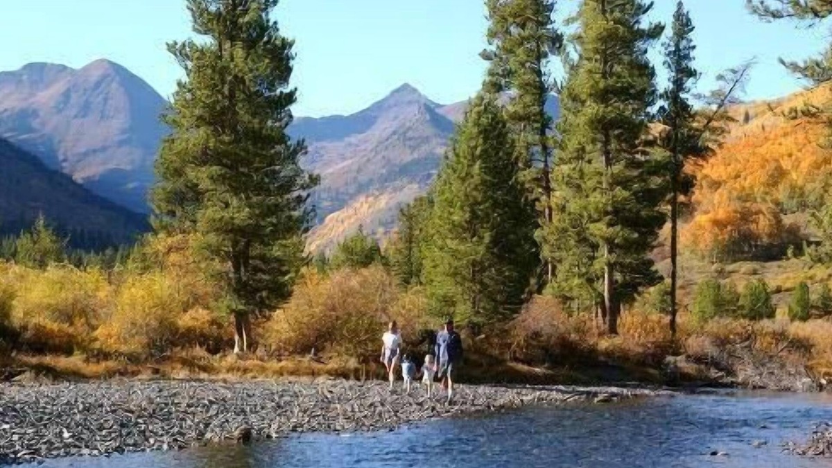 Crested Butte Hotel | Old Town Inn