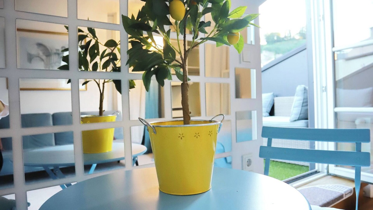 Altstadt Apartment | Old town. Studio with a Castle View. Roof terrace