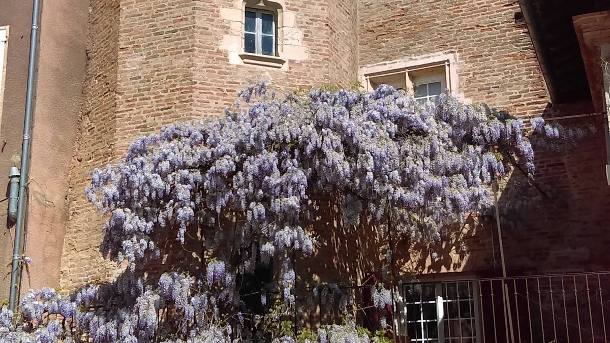 Gaillac House | Old townhouse for 2-3 people