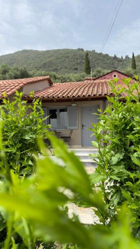 Ipsos Apartment | Olga's Sea View Studios, 400m from Ipsos Beach