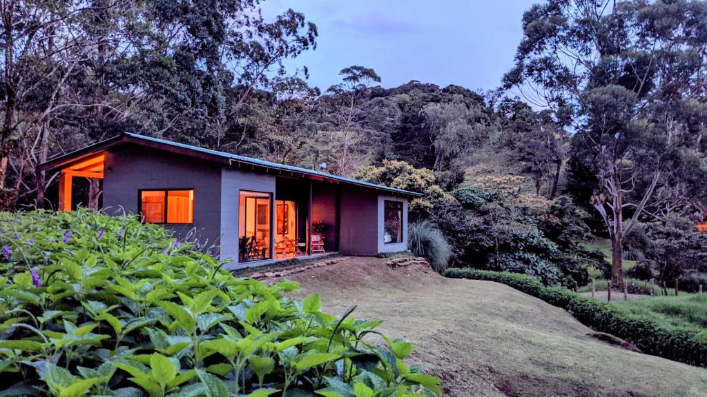 Quebrada Grande House | Olingo Monteverde - Stunning Home Near Adventure Parks