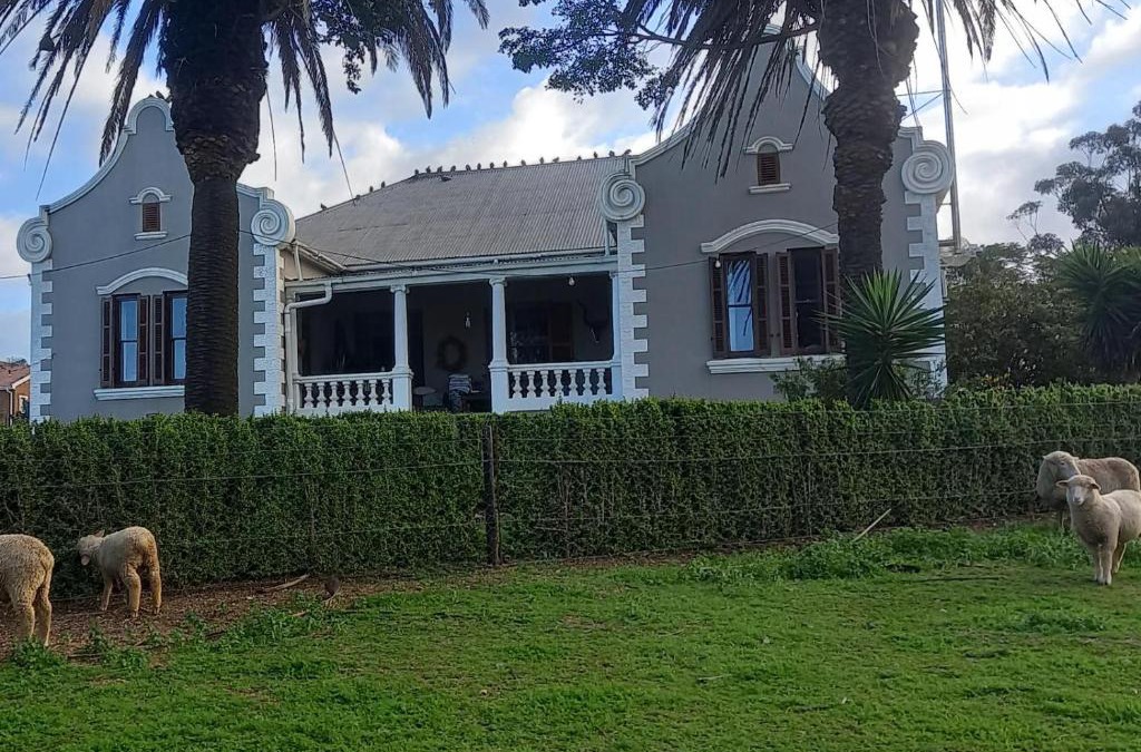 Moorreesburg House | Olive Tree Guesthouse