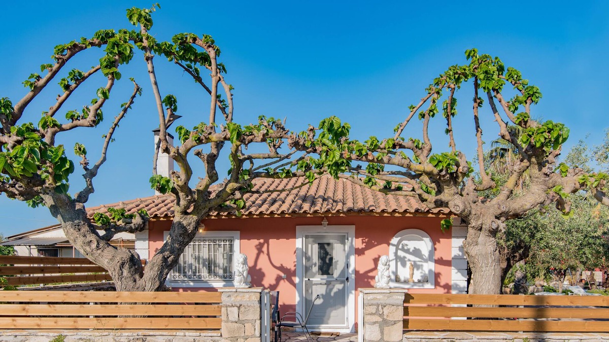 Pantokratoras House | Olive Tree House …..