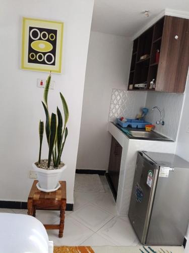 Viwanda Apartment | Olosotua homes