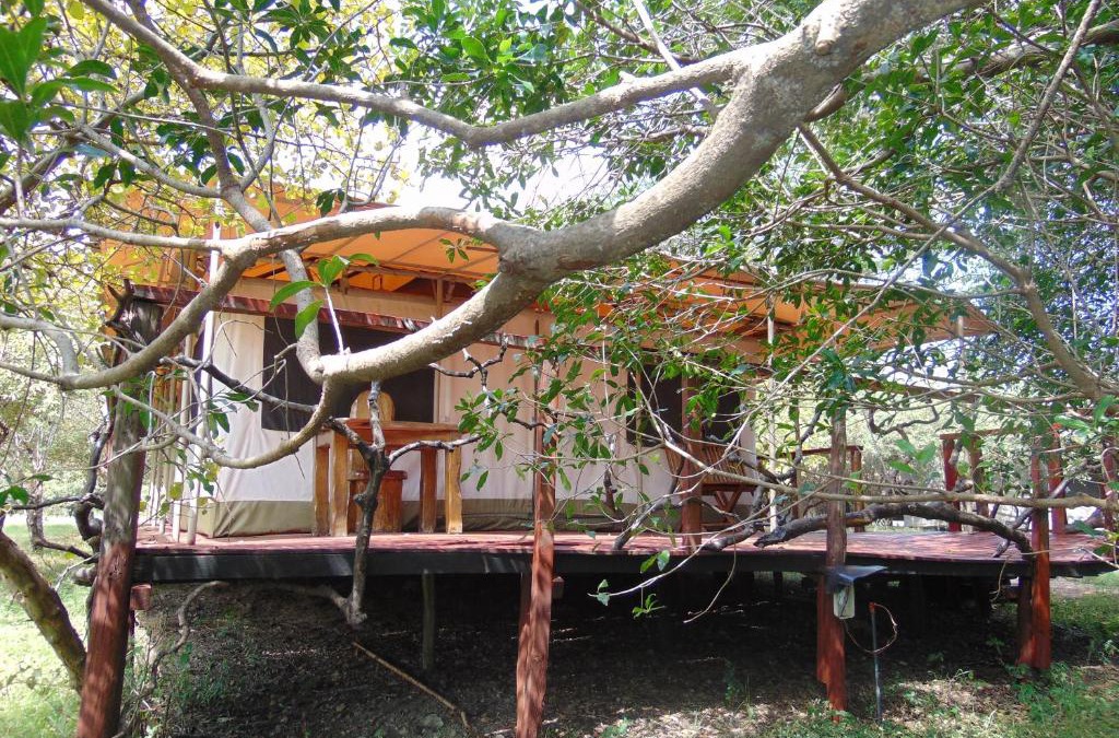 Maasai Mara Hotel | Olumara Tented Camp