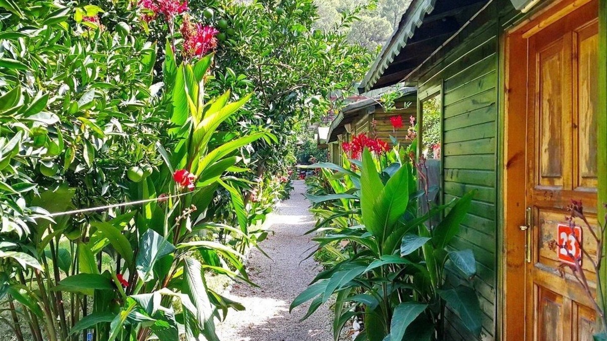 Olympos House | Olympos Tatilya Pansiyon