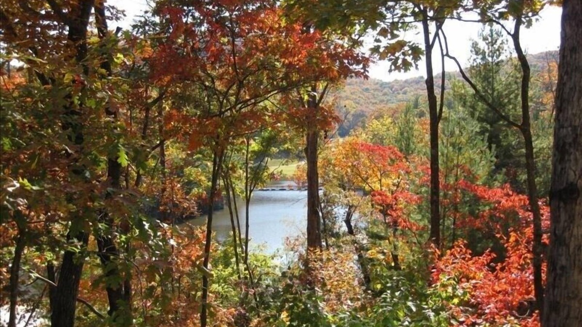 Big Canoe House | On Big Canoe MNTN LAKE Beach/Trails/Pool/Fitnss, LUX FURNSHD, Fire pit, GAME RM