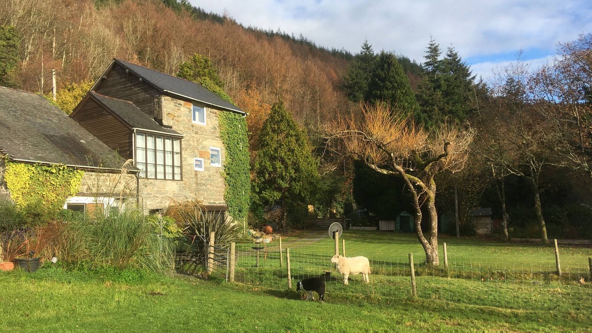 Llanelltyd Cottage | On Mawddach estuary Snowdonia pets welcome Certificate of Excellence Tripadvisor