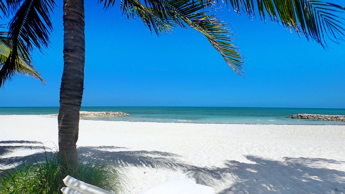 Palm Cay Villa | On the Beach | Sand | Sun | Sea