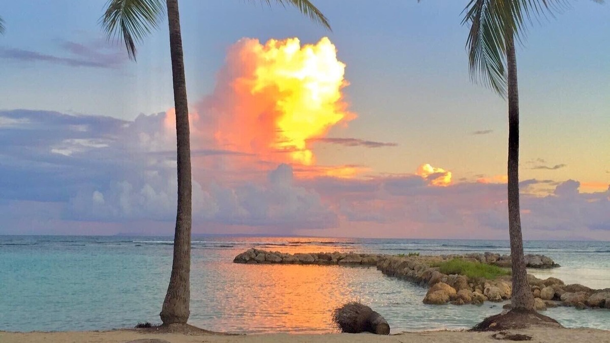 Sainte-Anne Apartment | ON THE COCO BEACH: turquoise lagoon & Creole ambience guaranteed.
