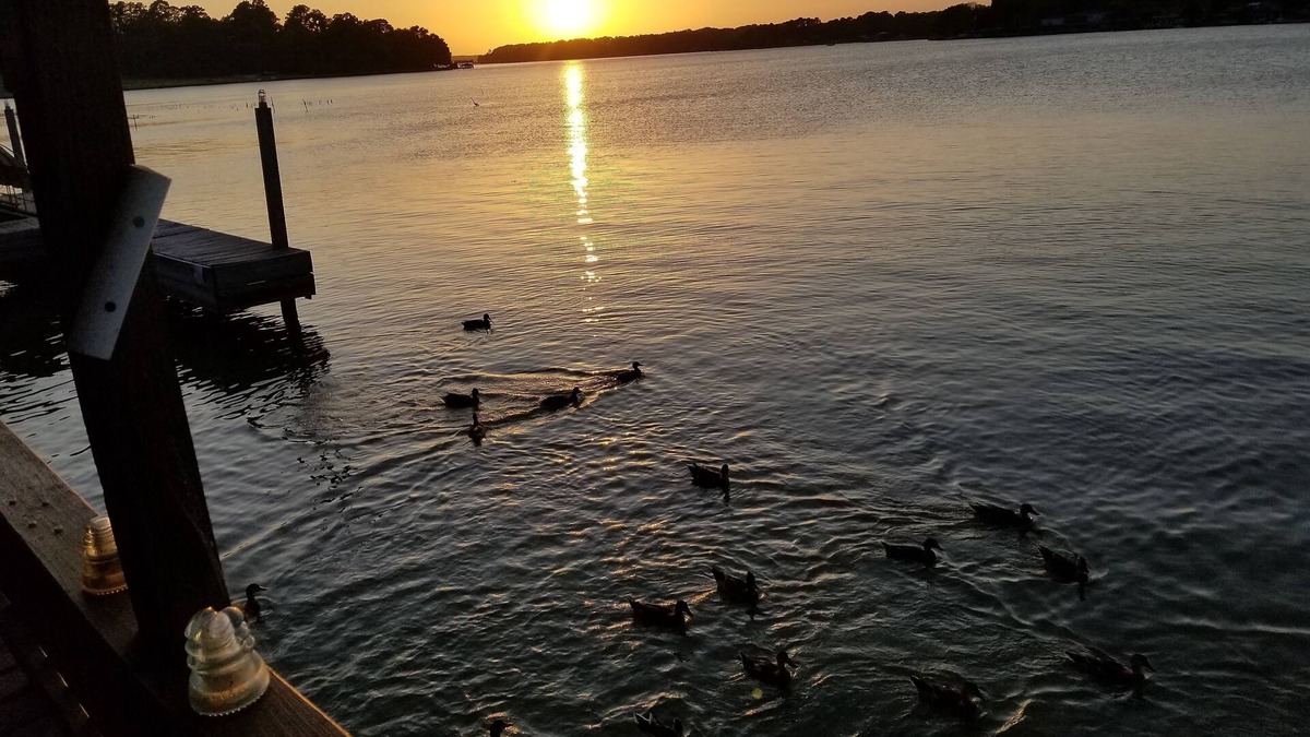 Willis Other | On the edge of Lake Conroe. Has Jet ski lift and boat dock, great place to fish