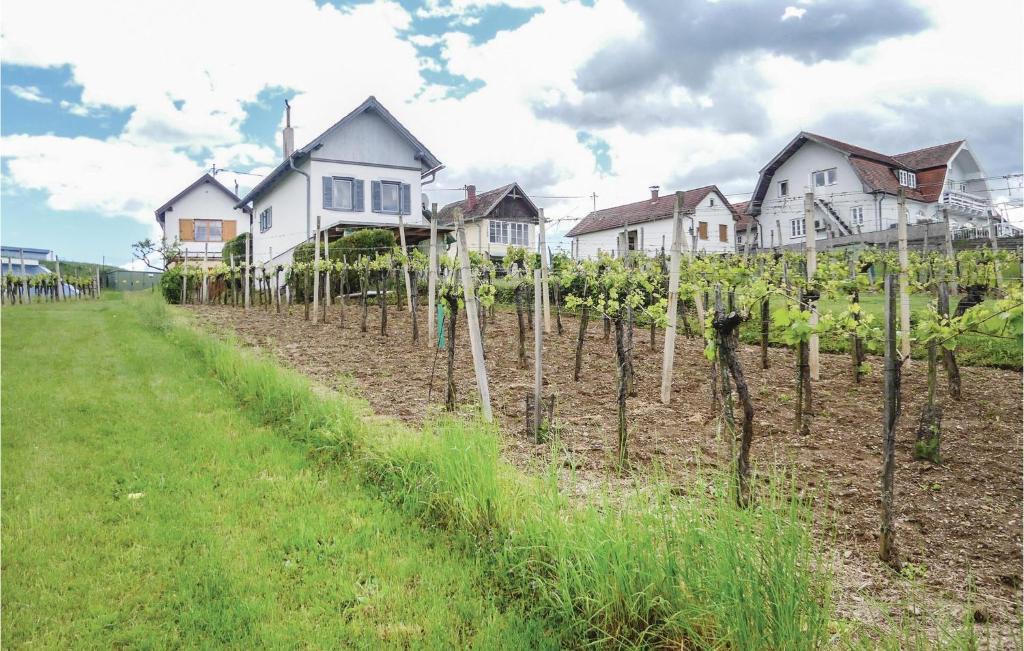 Hannersdorf House | One-Bedroom Holiday Home in Hannersdorf