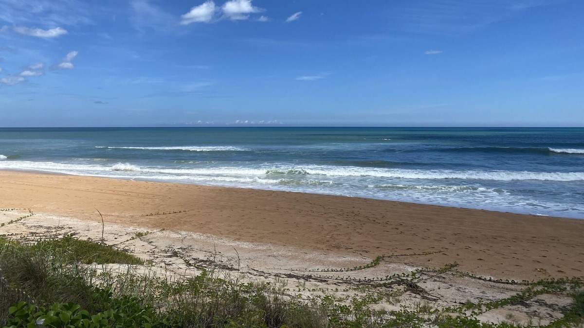 Ormond Beach House | One block from Ormond Beach Please call or text Gina 386-341-5135