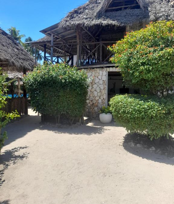 Pongwe Bed & Breakfast | One Love