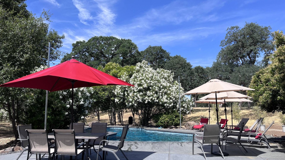 Chico House | One-of-a-Kind, peaceful, secluded & close to town