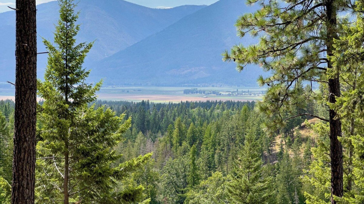 Bonners Ferry House | One Small Rv Space North of Bonners Ferry. n50 Amp, Water, Sewer. Ask about pets