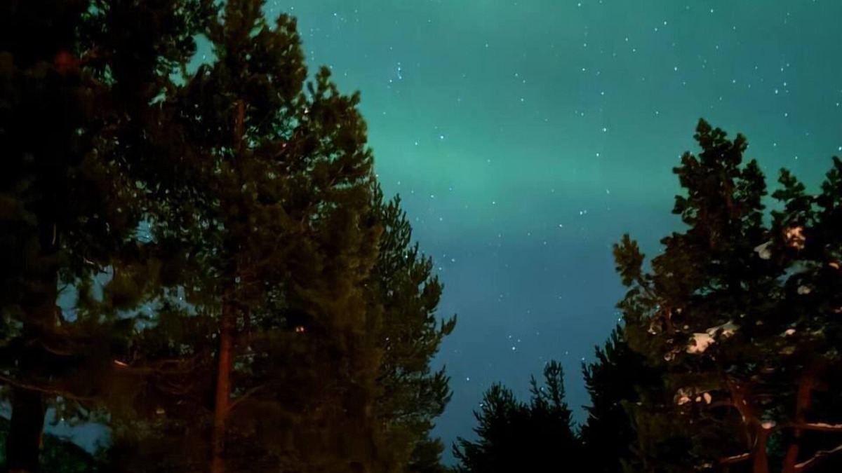 Alta House | Onga Lodge