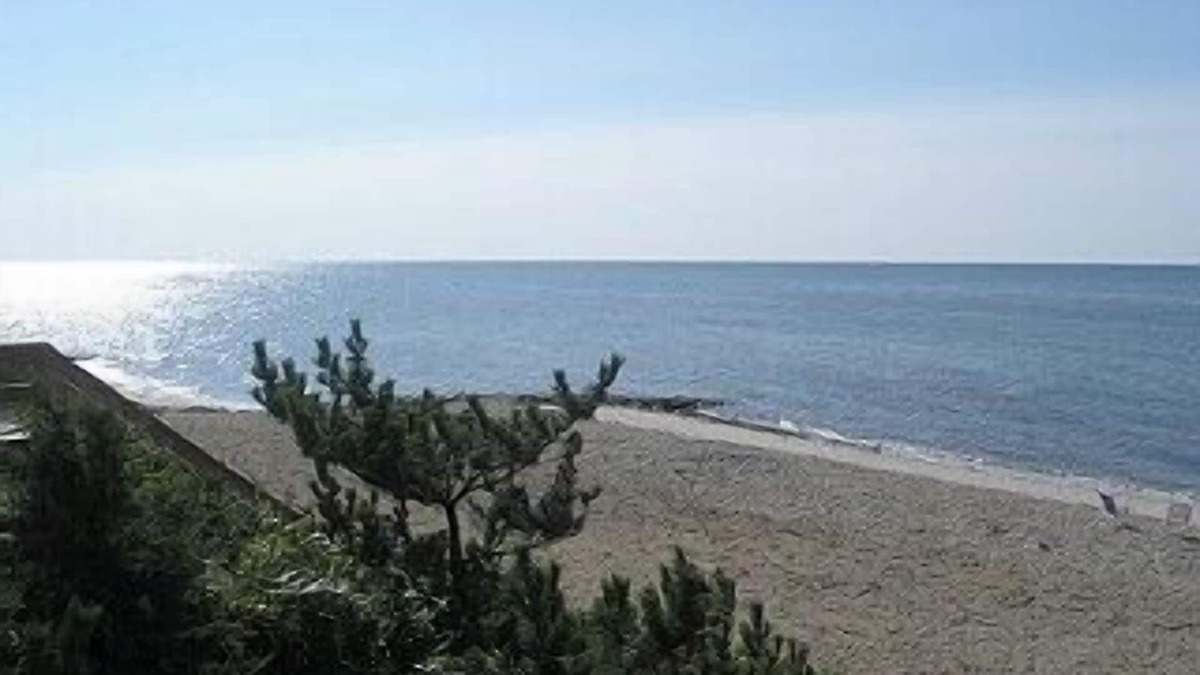 Harwich Port House | Only 1 summer Week Remaining Dog Friendly Walk To Beach Full A/C Great Reviews