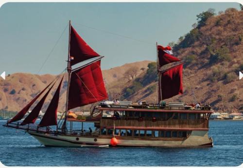 Labuan Bajo Boat Rental | open trip to Komodo Island 3 Days with Best Komodo Tour