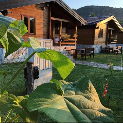 Virpazar Cabin | Orahovo Cottages